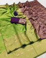 Traditional Green Soft Silk Saree With Stunner Blouse Piece