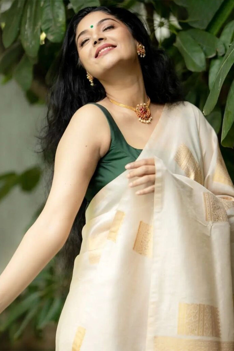 Adoring Beige Soft Silk Saree With Elaborate Blouse Piece