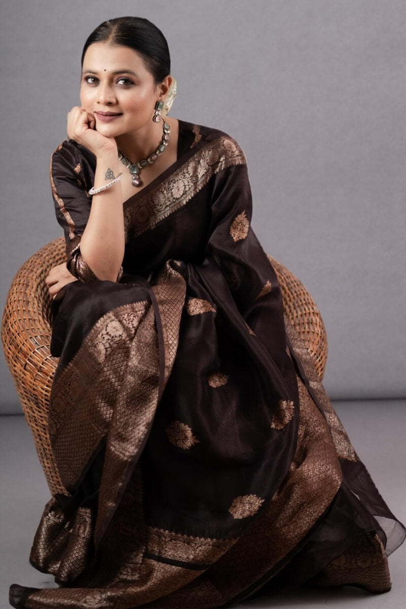 Murmurous Brown Soft Silk Saree With Sensational Blouse Piece