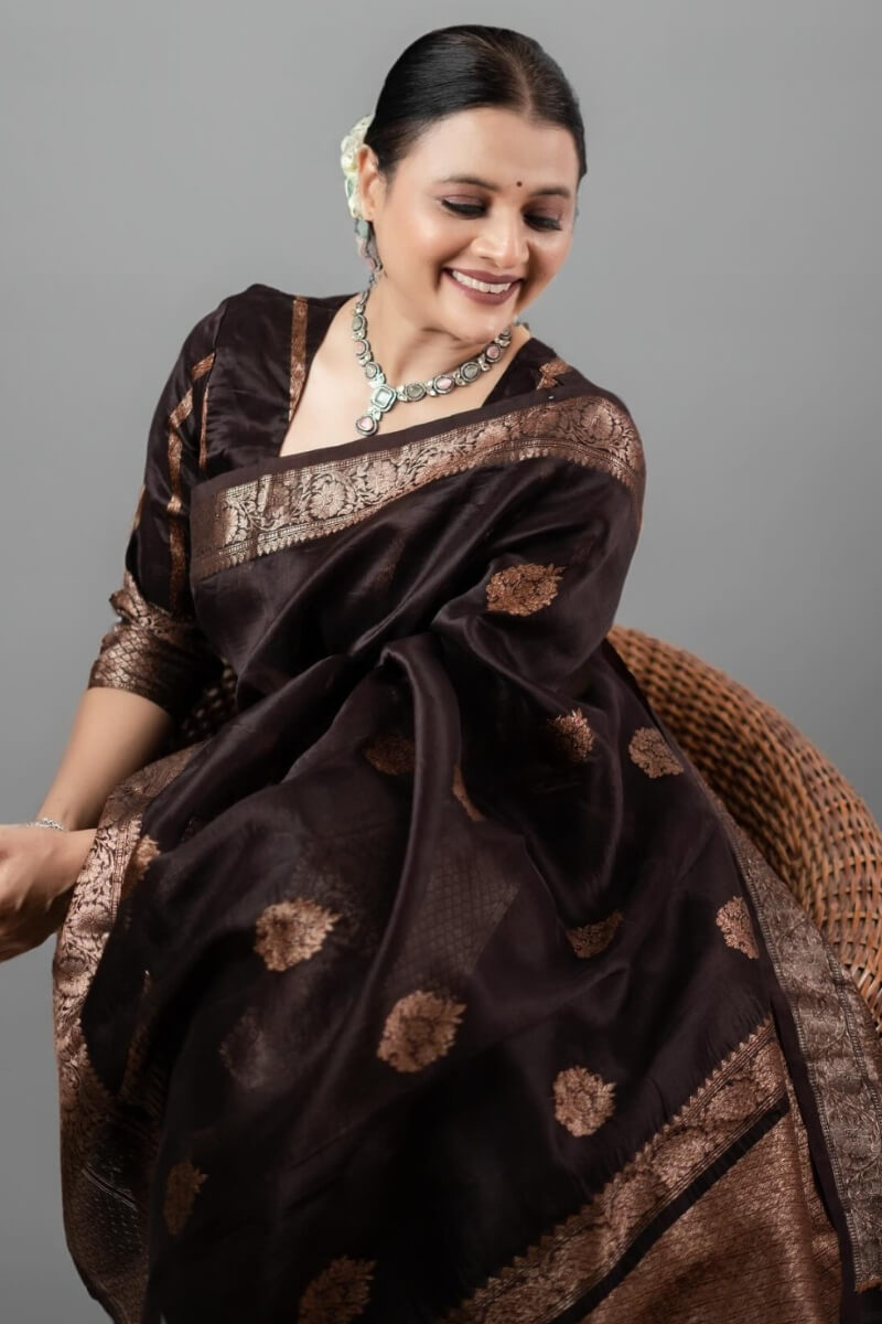 Murmurous Brown Soft Silk Saree With Sensational Blouse Piece