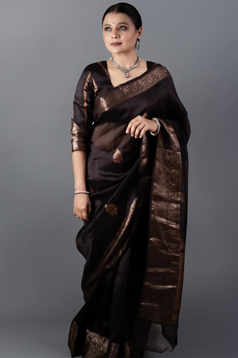 Murmurous Brown Soft Silk Saree With Sensational Blouse Piece