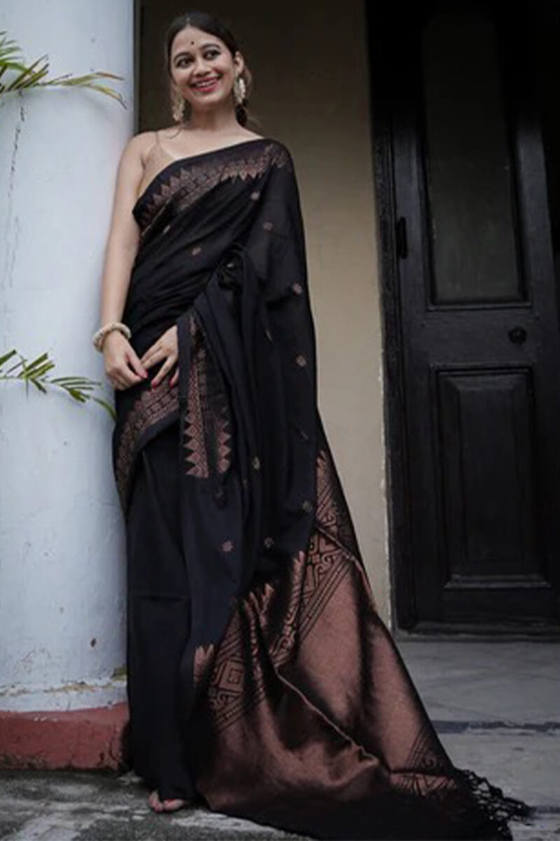 Fairytale Black Soft Silk Saree With Fancifull Blouse Piece