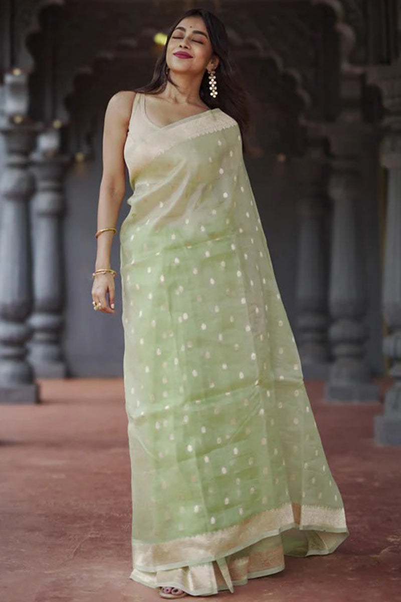 Enthralling Pista Linen Silk Saree With Aplomb Blouse Piece