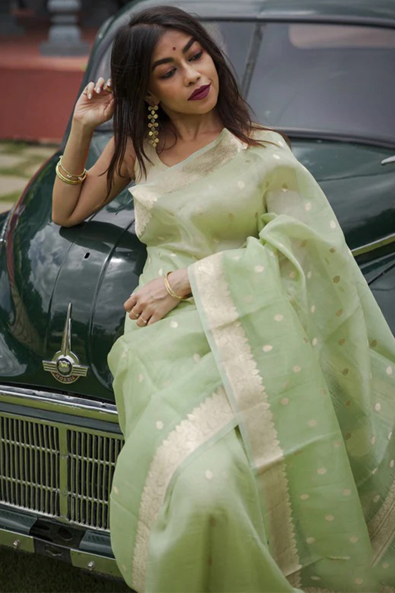 Enthralling Pista Linen Silk Saree With Aplomb Blouse Piece