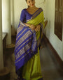 Ethereal Mehandi Soft Silk Saree With Zephyr Blouse Piece