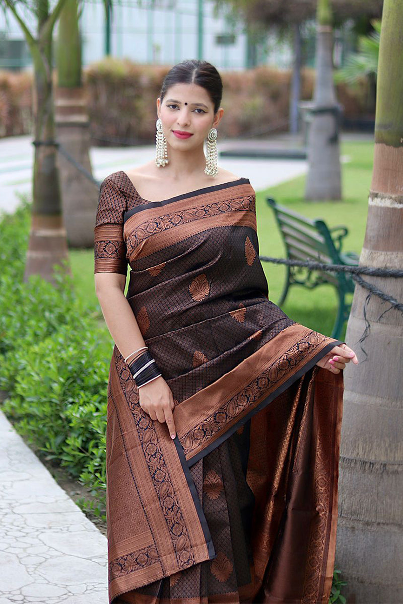 Gossamer Black Soft Banarasi Silk Saree With Cynosure Blouse Piece