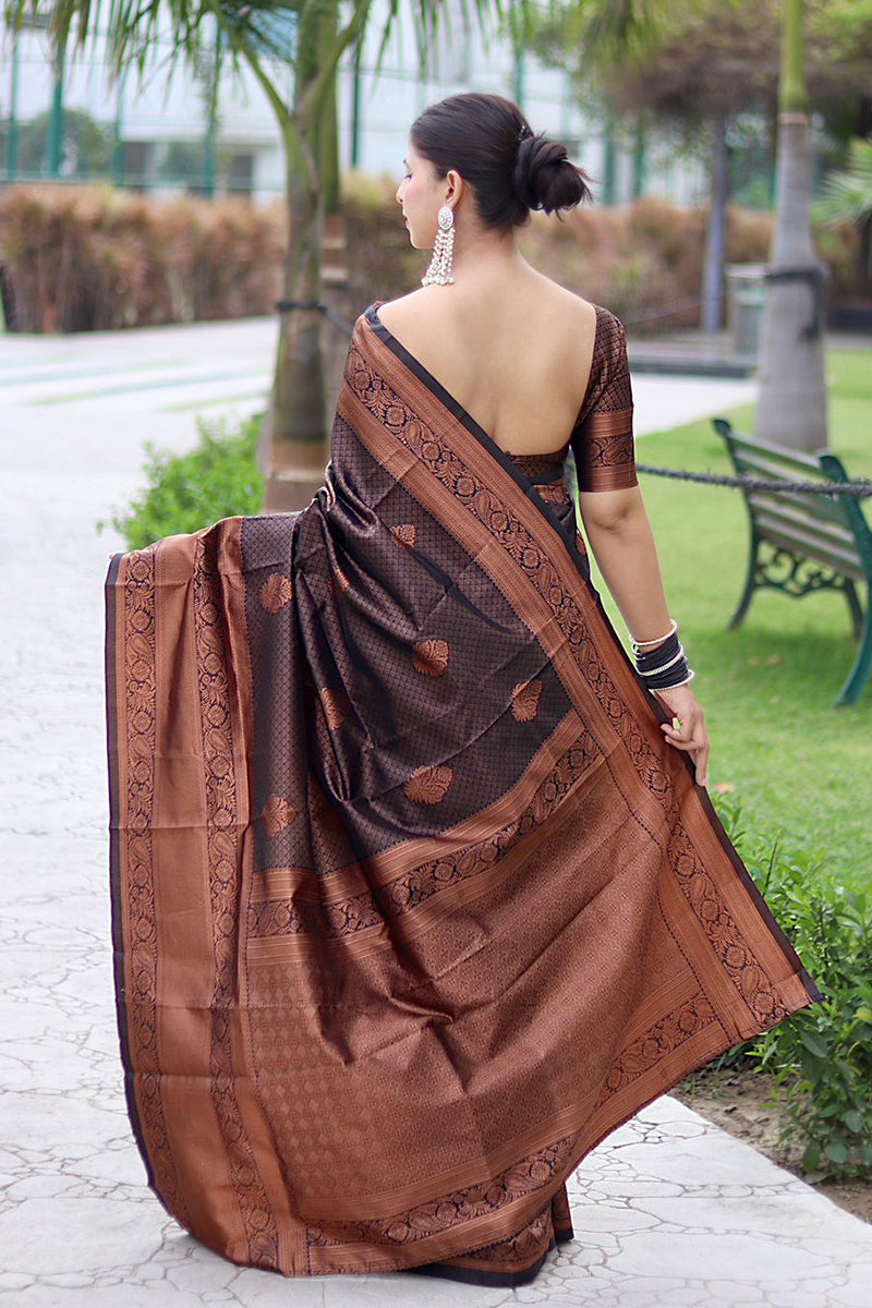 Gossamer Black Soft Banarasi Silk Saree With Cynosure Blouse Piece