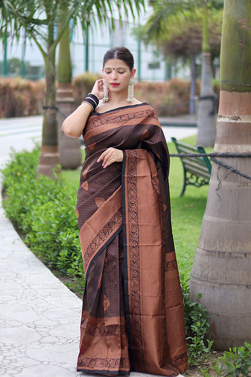 Gossamer Black Soft Banarasi Silk Saree With Cynosure Blouse Piece