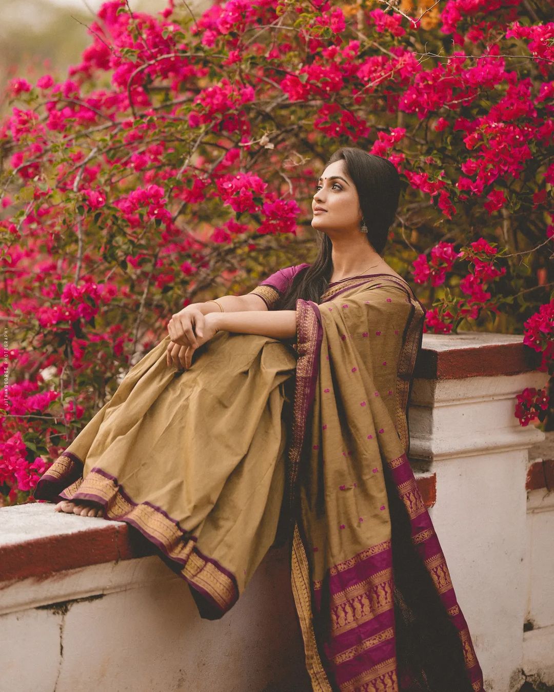 Deserving Dark Beige Soft Banarasi Silk Saree With Exceptional Blouse Piece