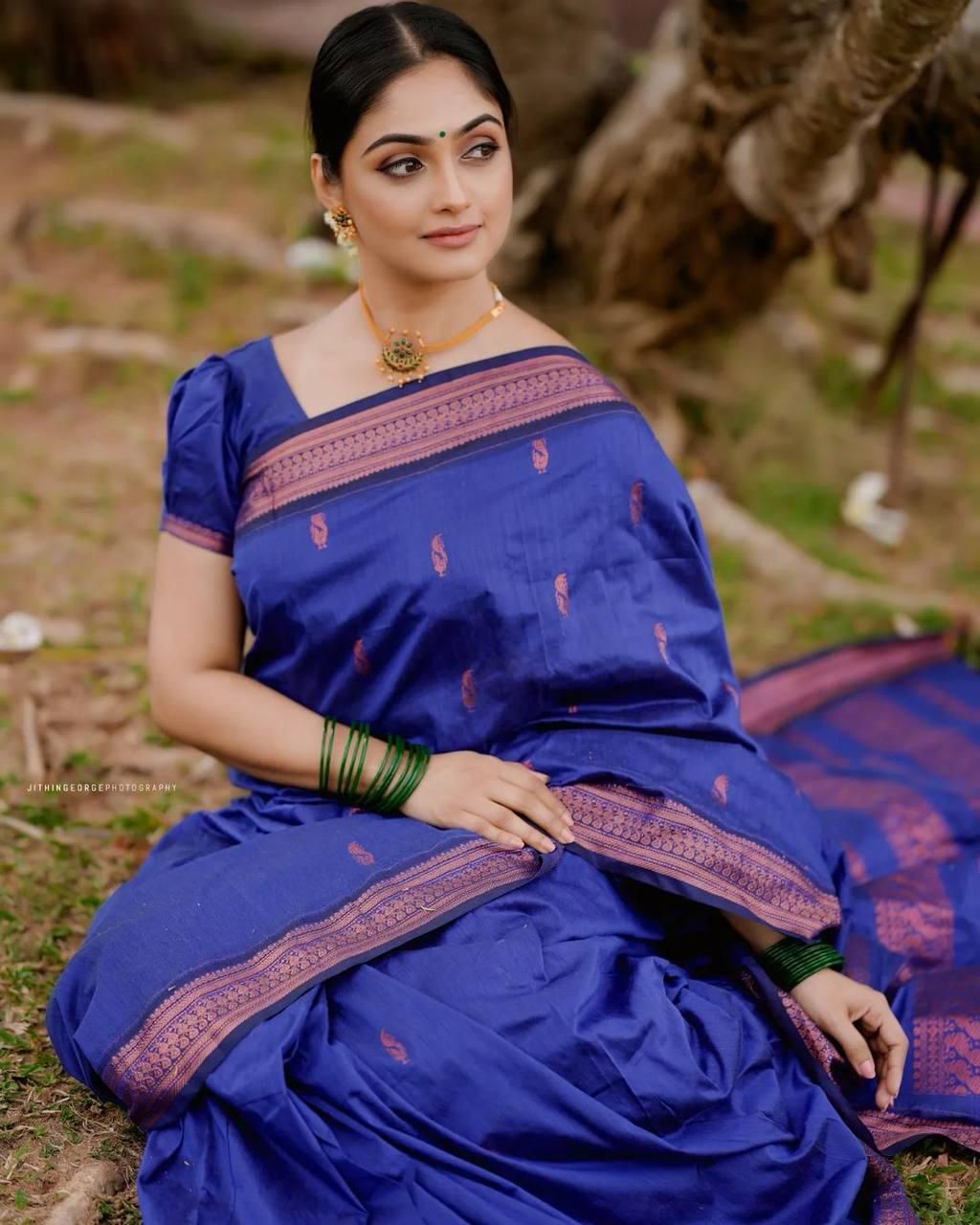 Gleaming Royal Blue Soft Silk Saree With Gorgeous Blouse Piece