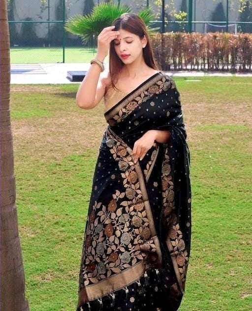 Verdant Black Soft Banarasi Silk Saree With Effervescent Blouse Piece