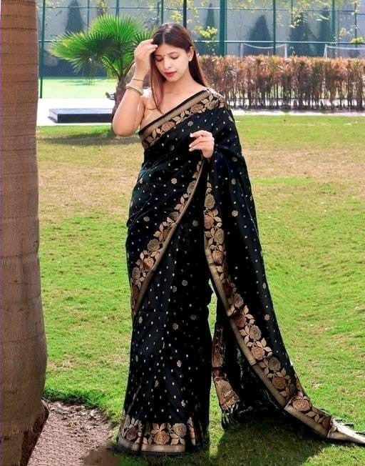 Verdant Black Soft Banarasi Silk Saree With Effervescent Blouse Piece