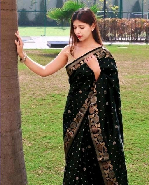 Verdant Black Soft Banarasi Silk Saree With Effervescent Blouse Piece