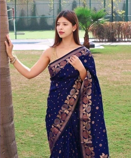 Conflate Navy Blue Soft Banarasi Silk Saree With Precious Blouse Piece