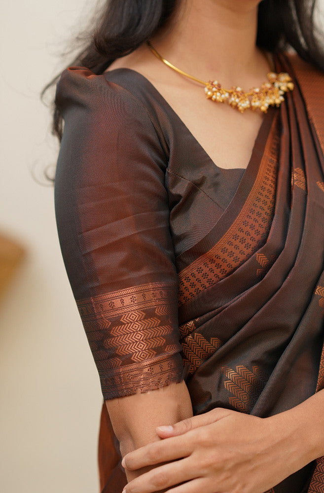 Mesmerising Brown Soft Silk Saree With Staggering Blouse Piece