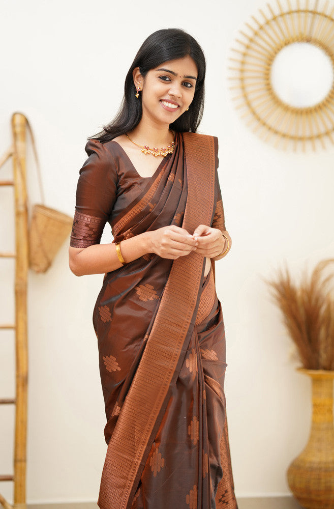 Mesmerising Brown Soft Silk Saree With Staggering Blouse Piece