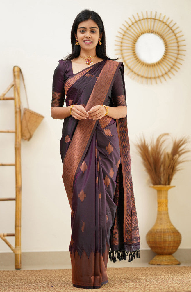 Amiable Purple Soft Silk Saree With Radiant Blouse Piece