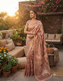 Quixotic Pink Dola Pashmina Saree With Adorable Blouse Piece